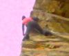 Filename=klettersuse.jpg
Filesize=6KB
Dimensions=116x96
Date added=Mar 14, 2006 klettersuse.jpg